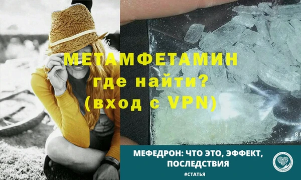 прущие грибы Володарск