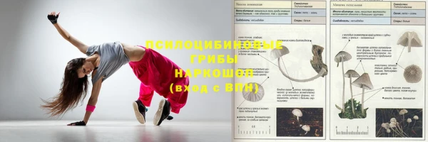 apvp Волосово