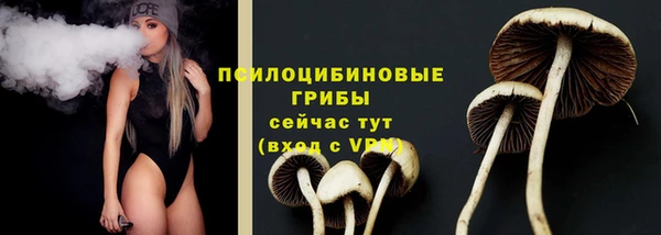 apvp Волосово