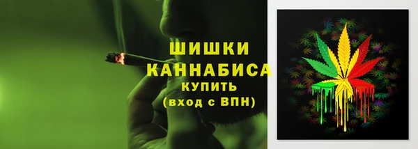 прущие грибы Володарск