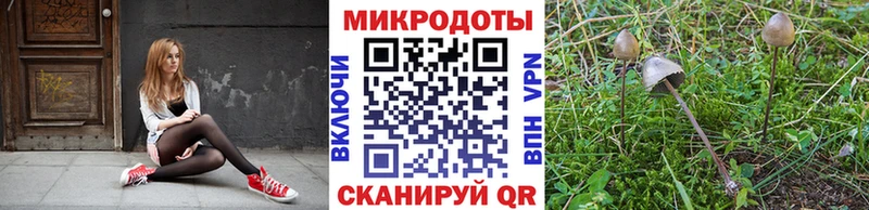 blacksprut как зайти  Иваново  Псилоцибиновые грибы Magic Shrooms  что такое  